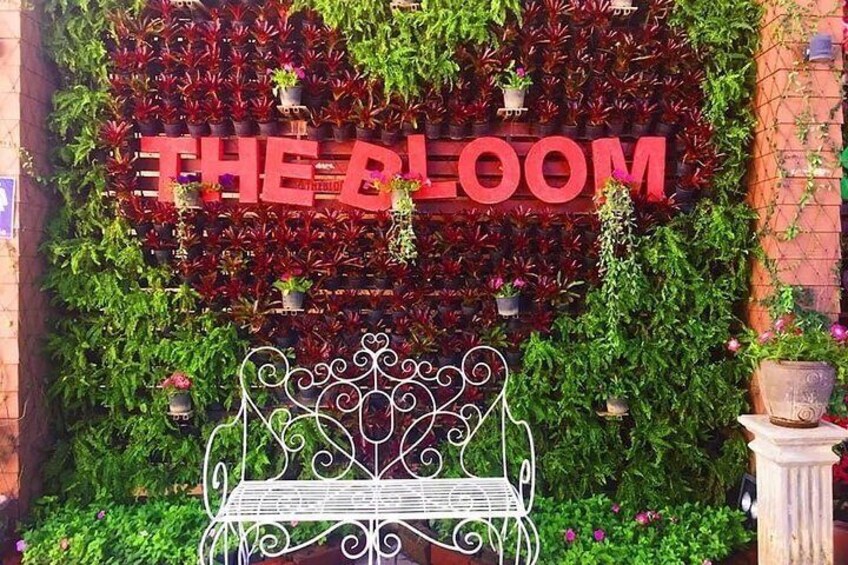 The Bloom Khao Yai