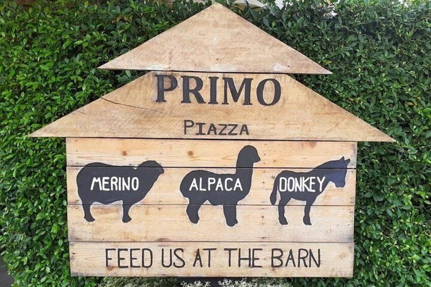 The Primo Piazza