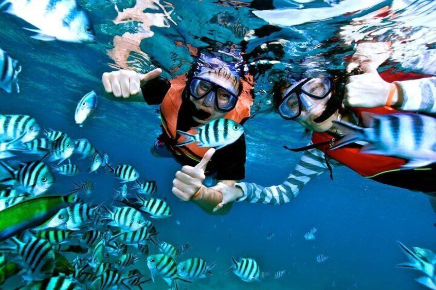 Cayo Levantado at Bacardi Island including Boat transfer, Lunch and Snorkeling