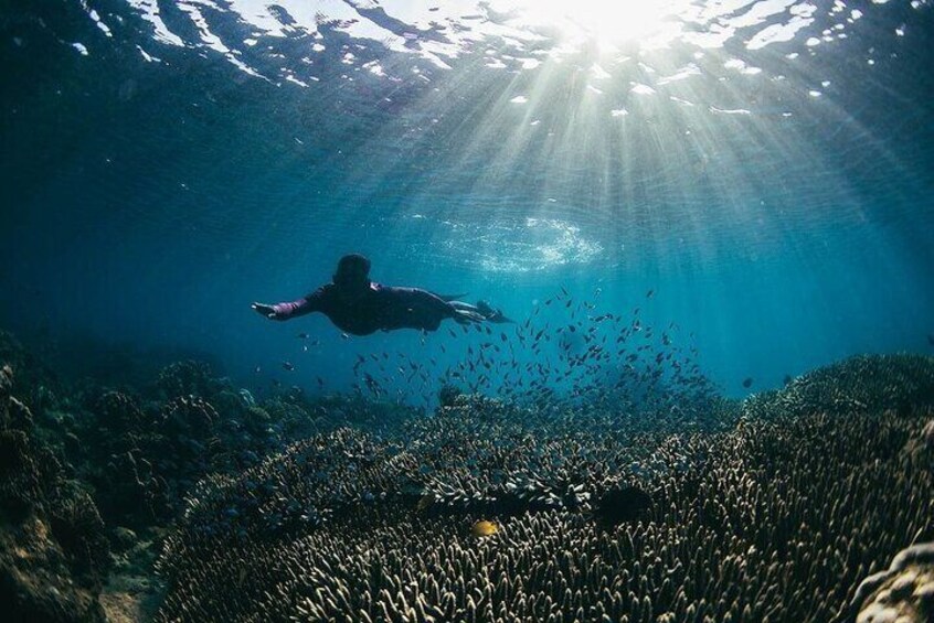 Gili Nanggu, Gili Kedis, Gili Tangkong, Gili Layar, Gili Rengit (Secret Gilis)