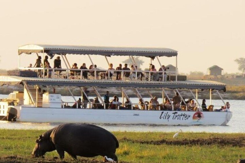 River Cruises on both the Zambezi and the Chobe Rivers