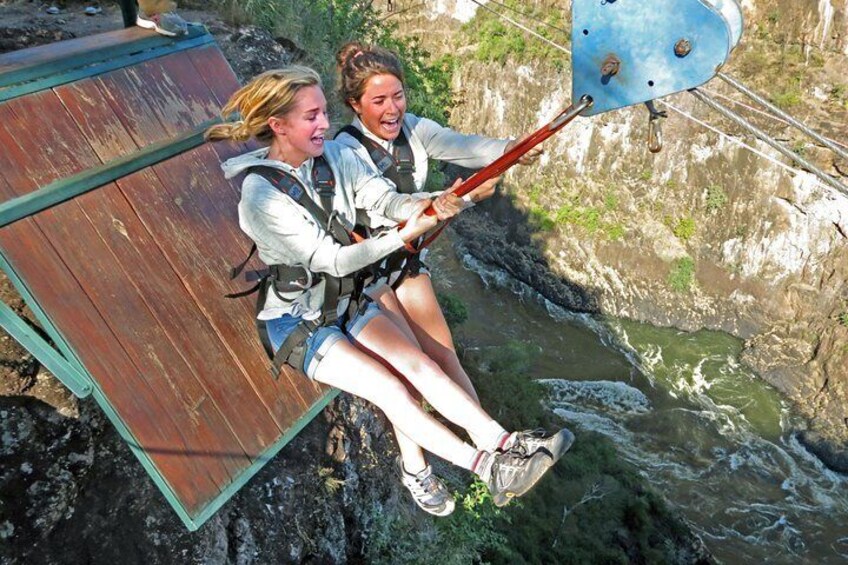 Tandem Zipline