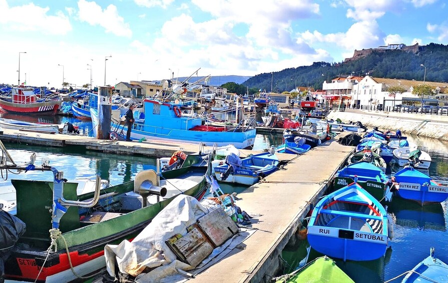 Portuguese Best Fish Market and south Lisbon Nature Wonders 