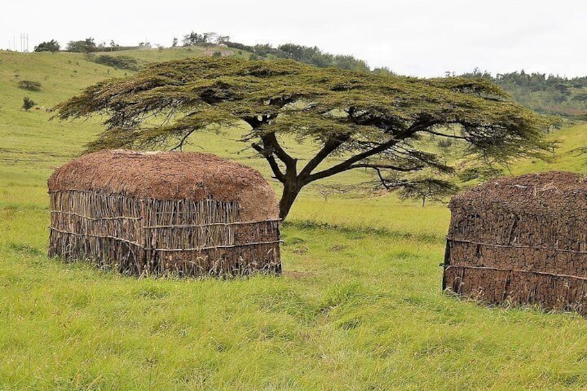 Maasai Magic - A Day Which You Will Never Forget