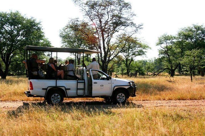 Mosi Oa Tunya Game Drive & Rhino Safari