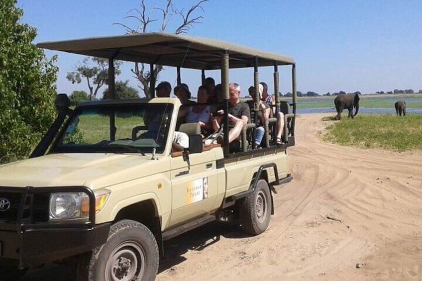 Chobe National Park Game Drive Safari Botswana