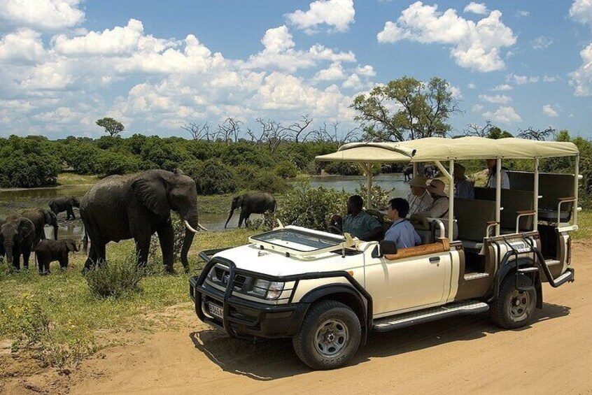 Chobe Game Drive Safari Botswana
