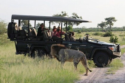 Chobe Day Trip from Livingstone