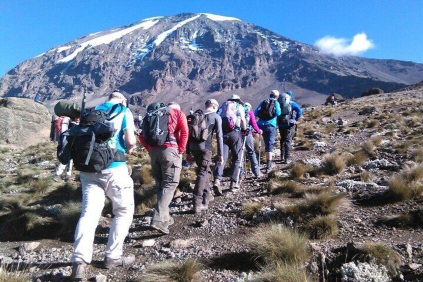 Day trip Mount Kilimanjaro hiking