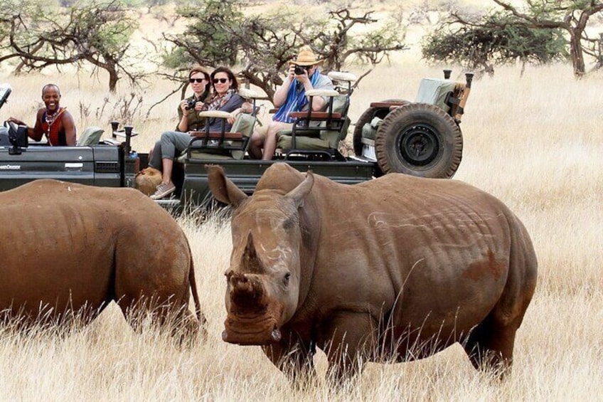 Nairobi national park drive