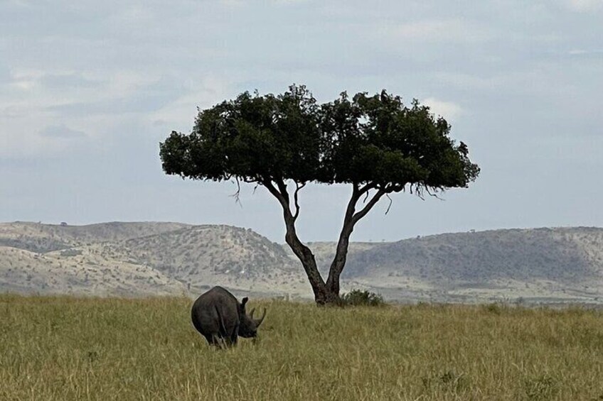 Nakuru national park