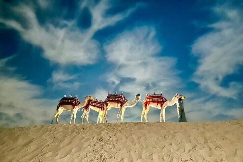 Abu Dhabi: 7-Hours Desert Safari with BBQ, Camel Ride & Sandboarding