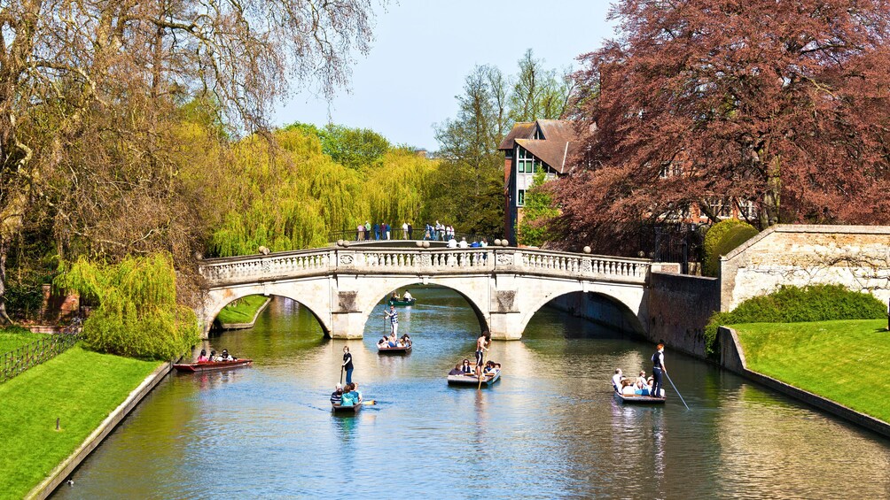 people rowing boats on river in Cambridge, London