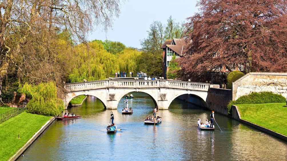 people rowing boats on river in Cambridge, London