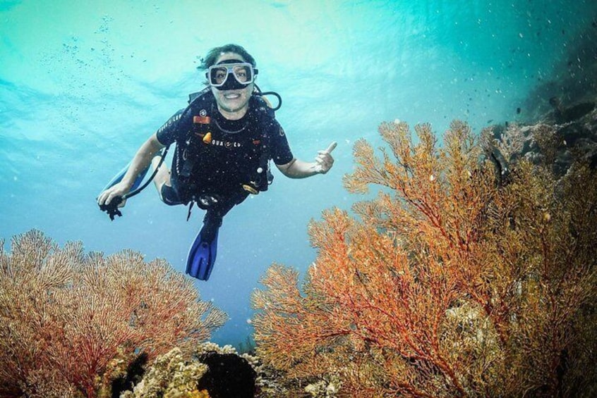 Easy Fun Scuba Dive in El Nido
