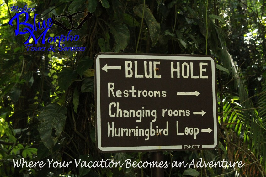 Full Day- Caving, Inland Blue Hole, Animal Sanctuary
