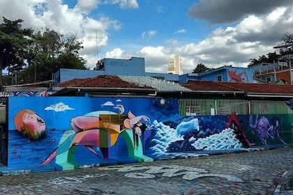 Street Art & Graffiti Sao Paulo 4-Hour Private Tour