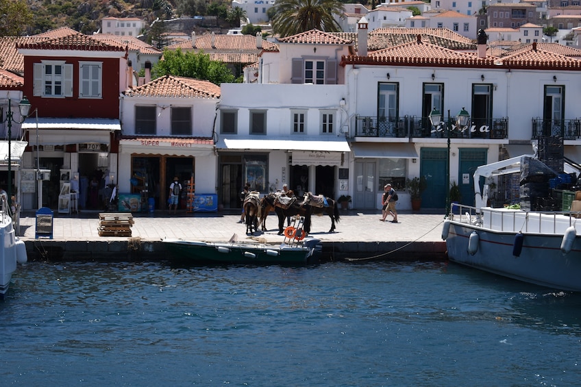 Hydra Island Day Tour