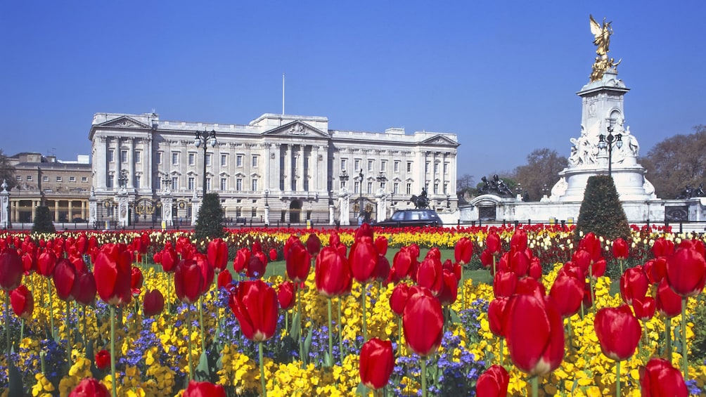 Royal flower gardens in front of Buckingham Palace in London