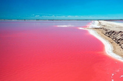 Tour Las Coloradas & Ek Balam With Transport