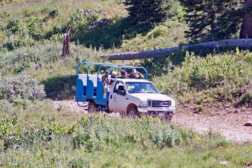 Comfortable ride on 4x4 roads