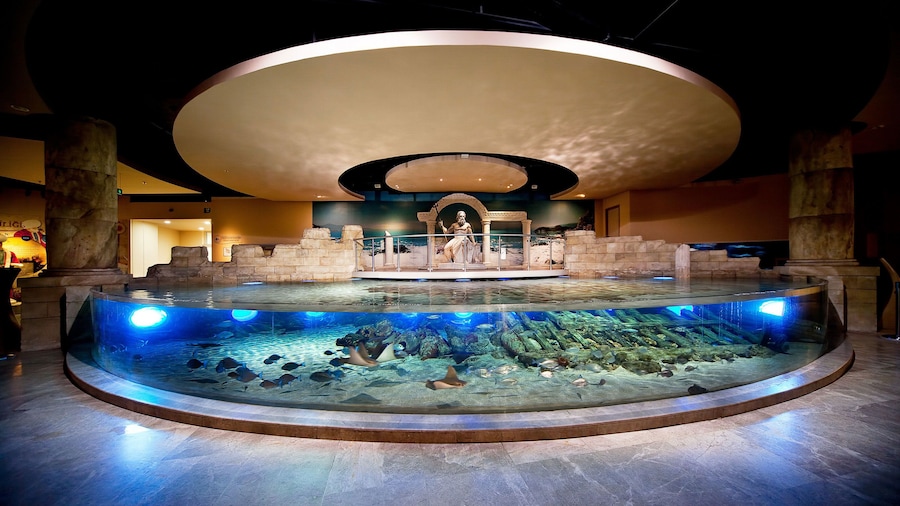 Aquarium on display at the Istanbul Aquarium Theme Park