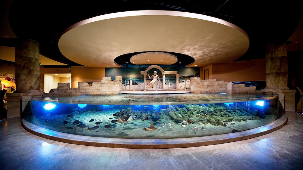 Aquarium on display at the Istanbul Aquarium Theme Park