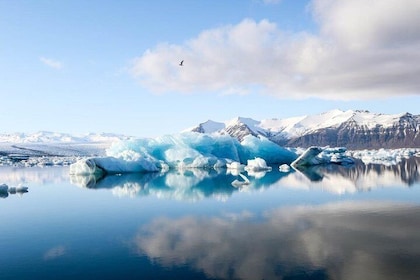 Jökulsarlón Glacier Lagoon Tour