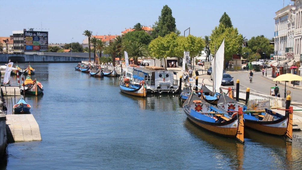 Boats line the banks of the canal in Aveiro