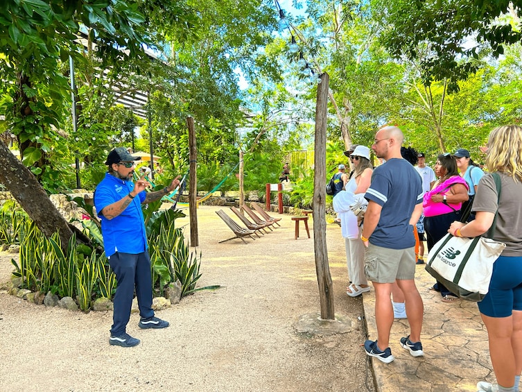 Chichen Itza Early Access, Cenote, Tequila Tasting & buffet lunch