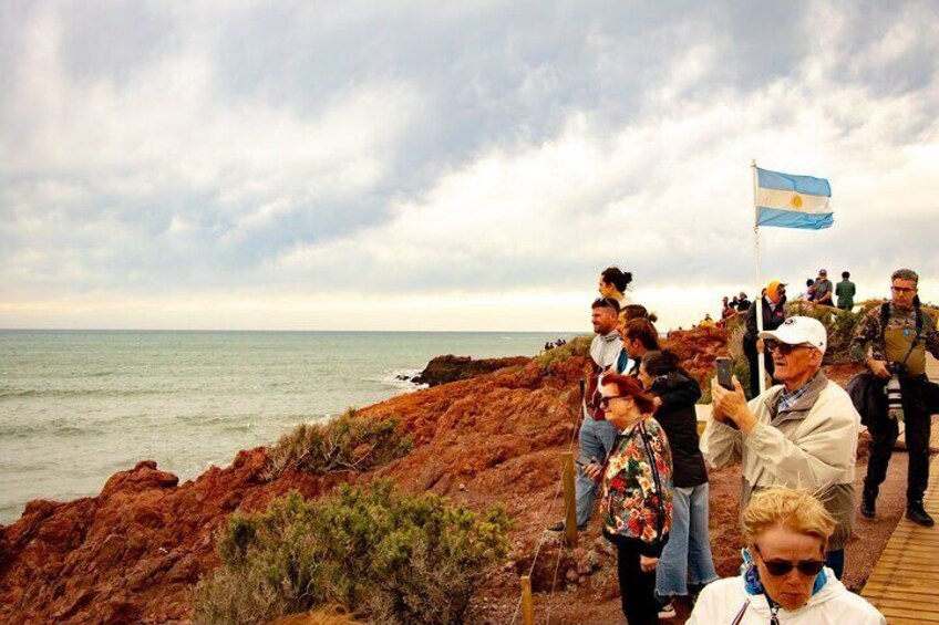 Shore Excursion Punta Tombo with box lunch & entry fee - Madryn