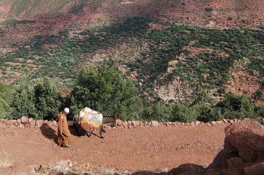 Atlas Mountains Private Day Tour from Marrakech to Ourika Valley