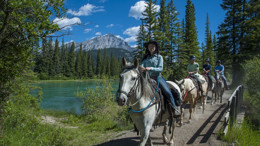 Banff Horseback Riding Tour