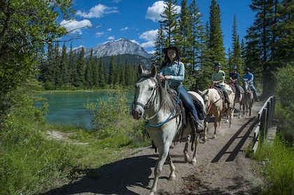 Ridning på hästryggen i Banff - ridtur på Bow River