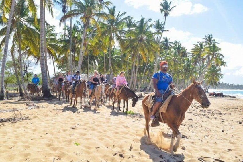 Horseback beach view