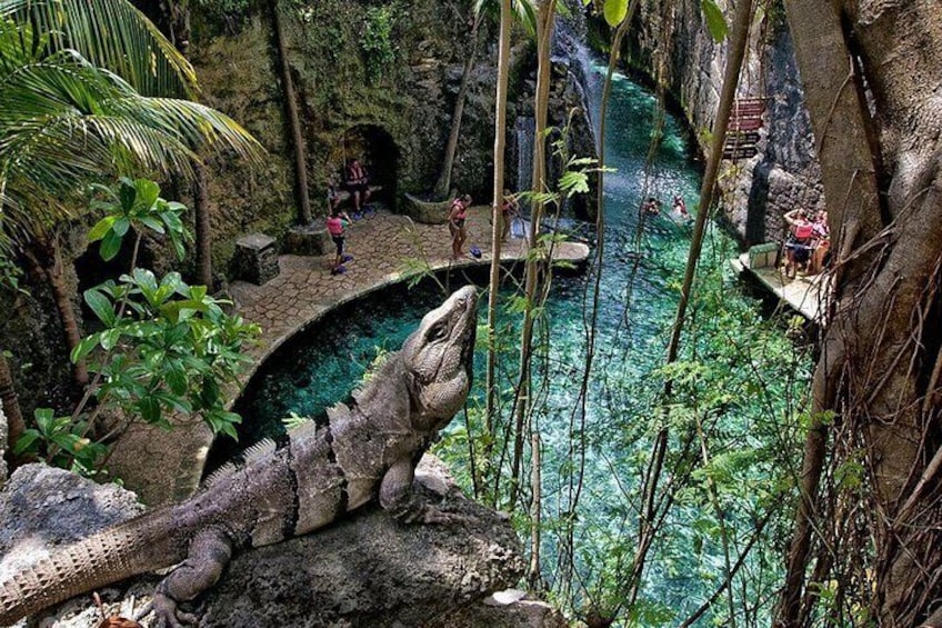 Culture and tradition await you at Xcaret Park.