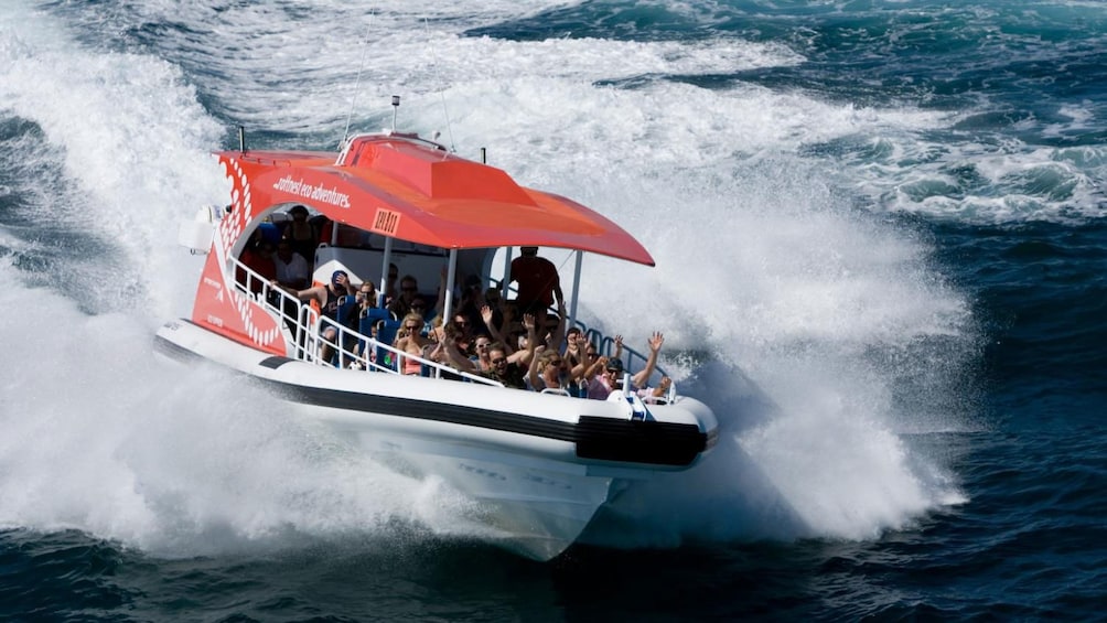 Passengers enjoying the thrills of the speed boat in Australia