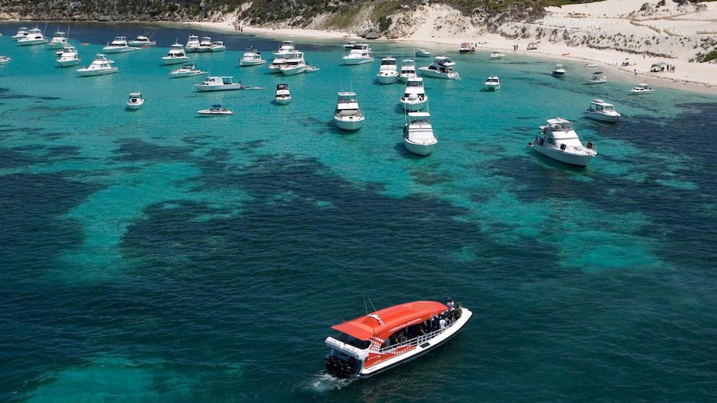 Many boats anchored near the beach on Rottnest Island