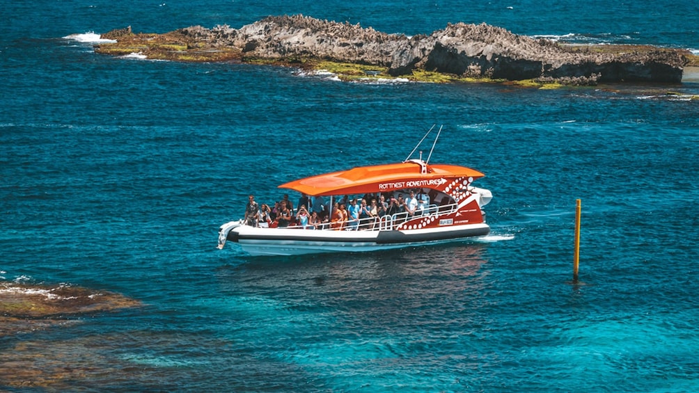 speed boat tour rottnest island