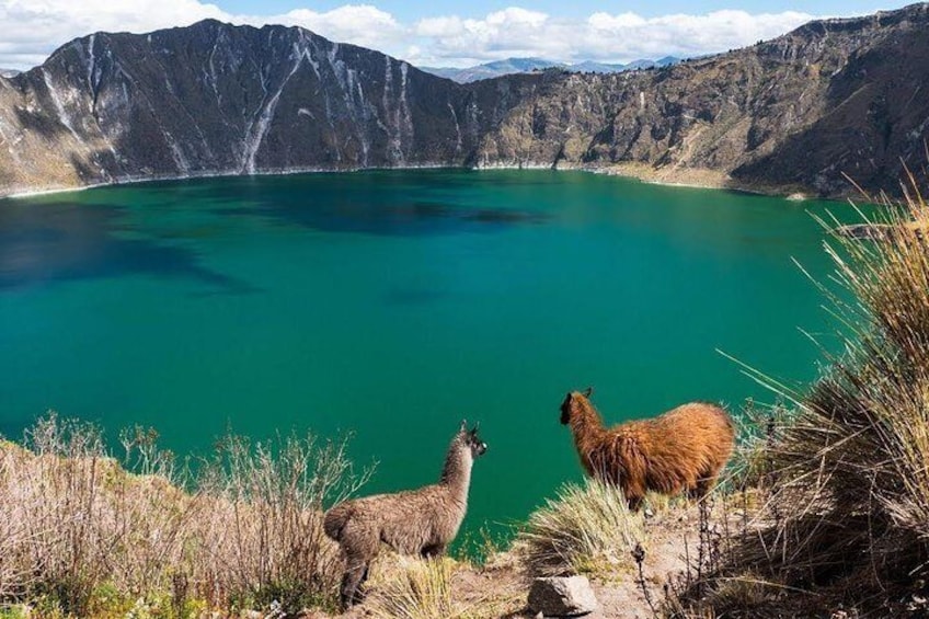 Private Excursion Day to Quilotoa Lagoon from Quito