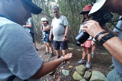 Full day to Ecological Reserve Churute Mangrove and Cocoa Farm Visit