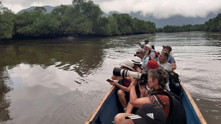 Full day to Ecological Reserve Churute Mangrove and Cocoa Farm Visit