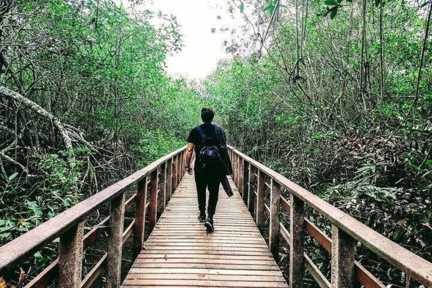Full day to Ecological Reserve Churute Mangrove and Cocoa Farm Visit
