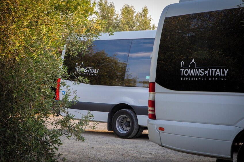 VIP Siena & San Gimignano Small-Group Tour with Chianti Dinner