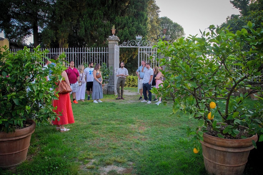 VIP Siena & San Gimignano Small-Group Tour with Chianti Dinner