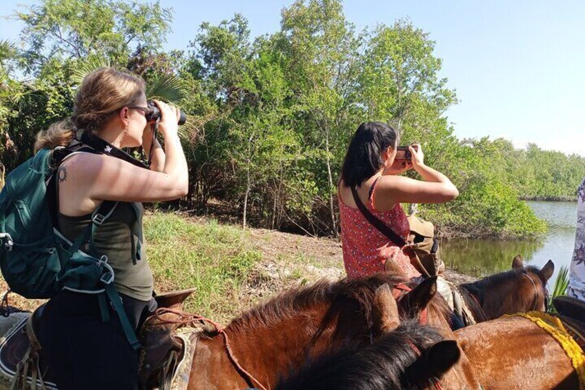 Horseback Riding Zihuatanejo