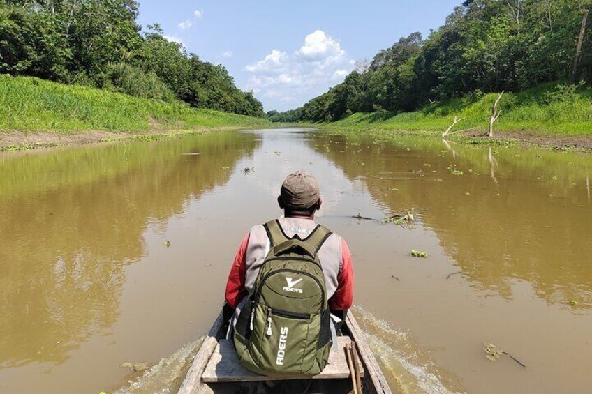 AMAZON EXPERIENCE-the pacaya y samiria national reserve. 4d/3n.