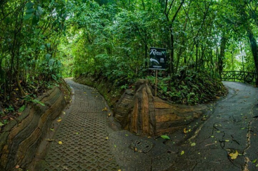 Hanging Bridges Walk in Arenal Volcano