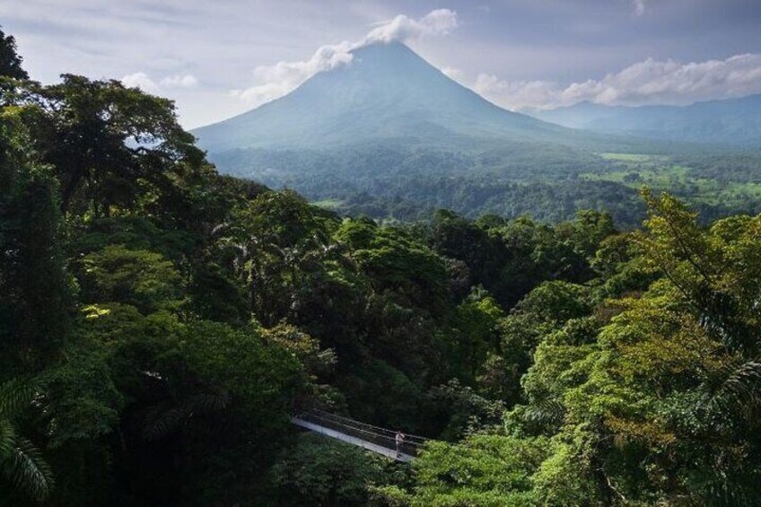 Hanging Bridges Walk in Arenal Volcano