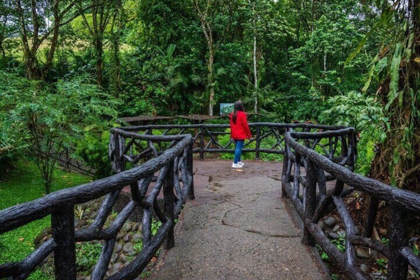 Hanging Bridges Walk in Arenal Volcano